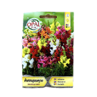 Seminte flori Gura Leului 0,5 gr, OpalZi Bulgaria 1