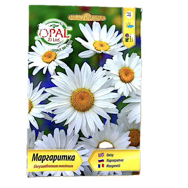 Seminte flori Margarete albe 0,7gr, OpalZi Bulgaria