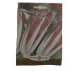 Cicoare RED TREVISO EARLY 1